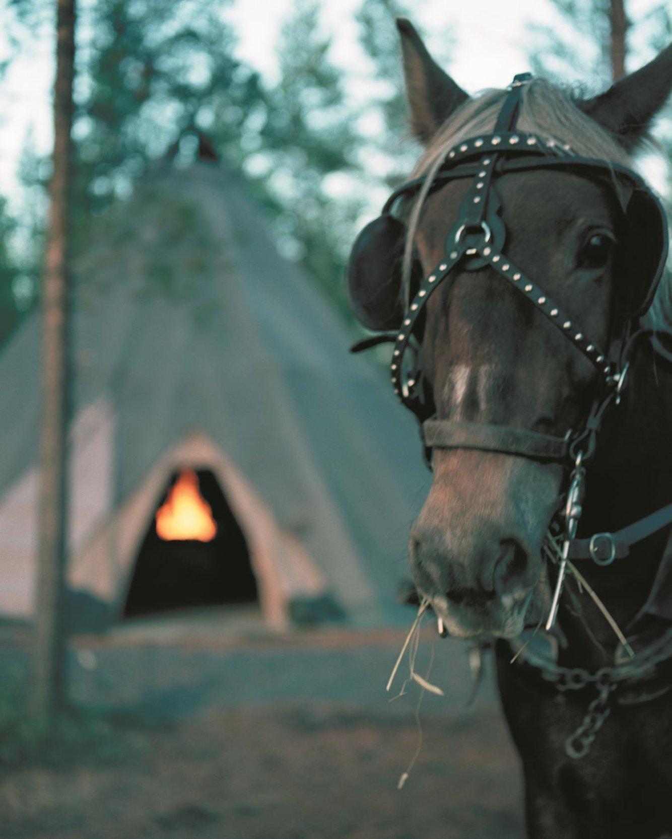 Nordkalotten Hotell & Konferens Luleå Buitenkant foto